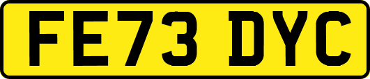 FE73DYC