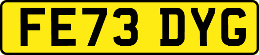 FE73DYG