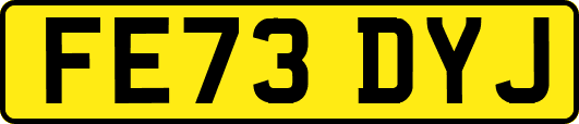 FE73DYJ