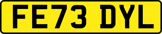 FE73DYL
