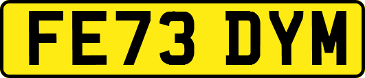 FE73DYM