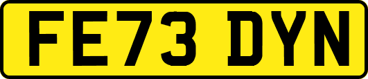 FE73DYN