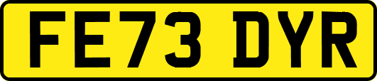 FE73DYR