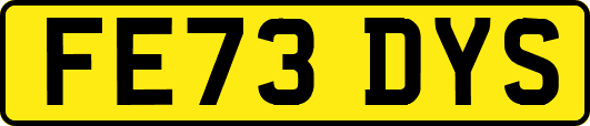 FE73DYS