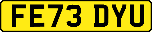 FE73DYU