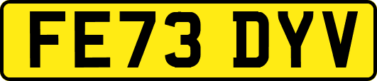 FE73DYV