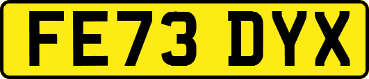 FE73DYX