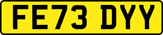 FE73DYY