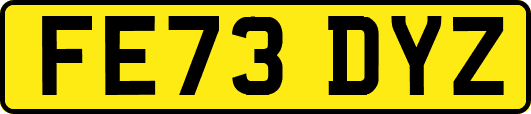 FE73DYZ
