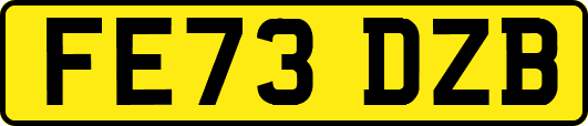 FE73DZB