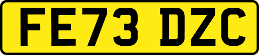 FE73DZC
