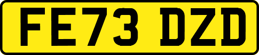 FE73DZD