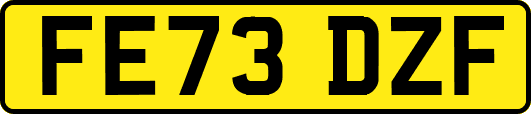 FE73DZF