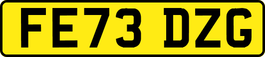 FE73DZG