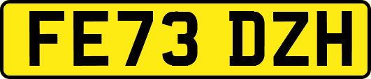 FE73DZH