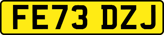 FE73DZJ