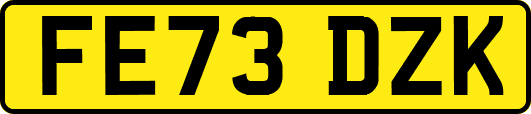 FE73DZK