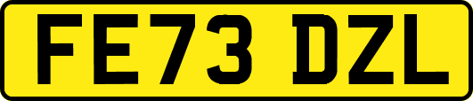 FE73DZL