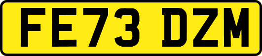 FE73DZM