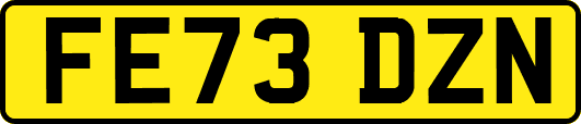 FE73DZN