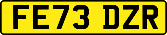 FE73DZR
