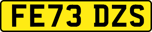 FE73DZS