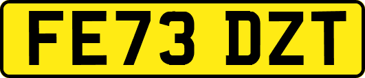 FE73DZT