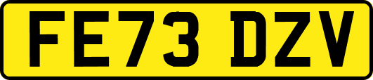 FE73DZV