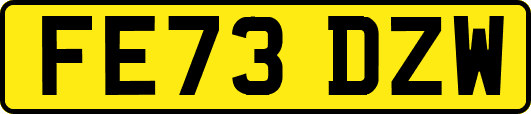FE73DZW
