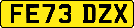 FE73DZX