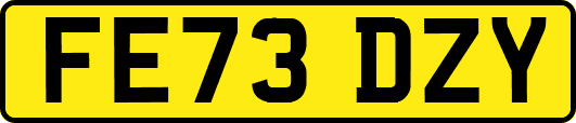 FE73DZY