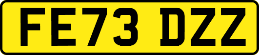 FE73DZZ