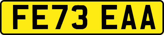 FE73EAA