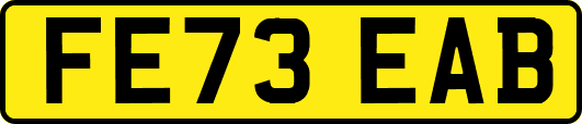 FE73EAB