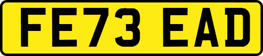 FE73EAD