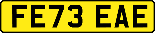 FE73EAE