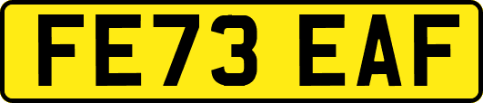 FE73EAF