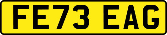 FE73EAG