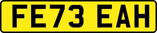 FE73EAH