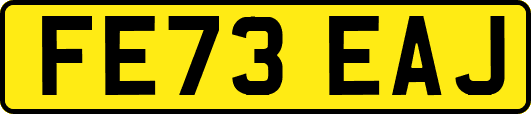 FE73EAJ