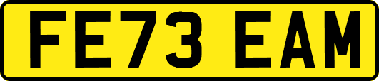 FE73EAM