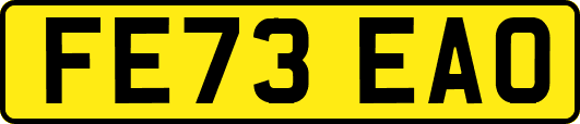 FE73EAO