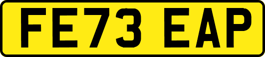 FE73EAP