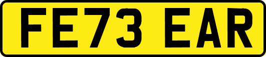 FE73EAR
