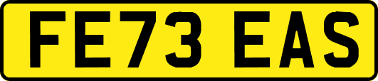 FE73EAS