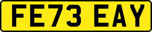 FE73EAY