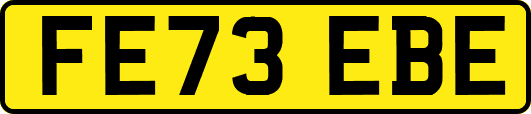 FE73EBE