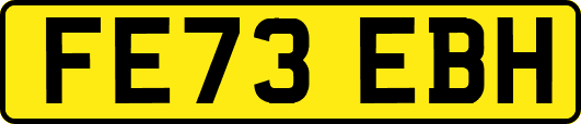 FE73EBH