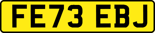 FE73EBJ