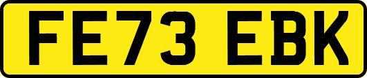 FE73EBK